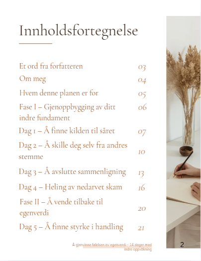 Å gjenvinne følelsen av egenverdi PDF - NO