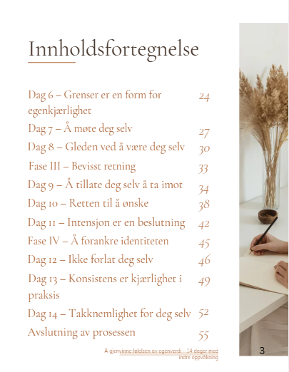 Å gjenvinne følelsen av egenverdi PDF - NO