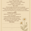 Herbal Grimoire - En guide til magiske urter